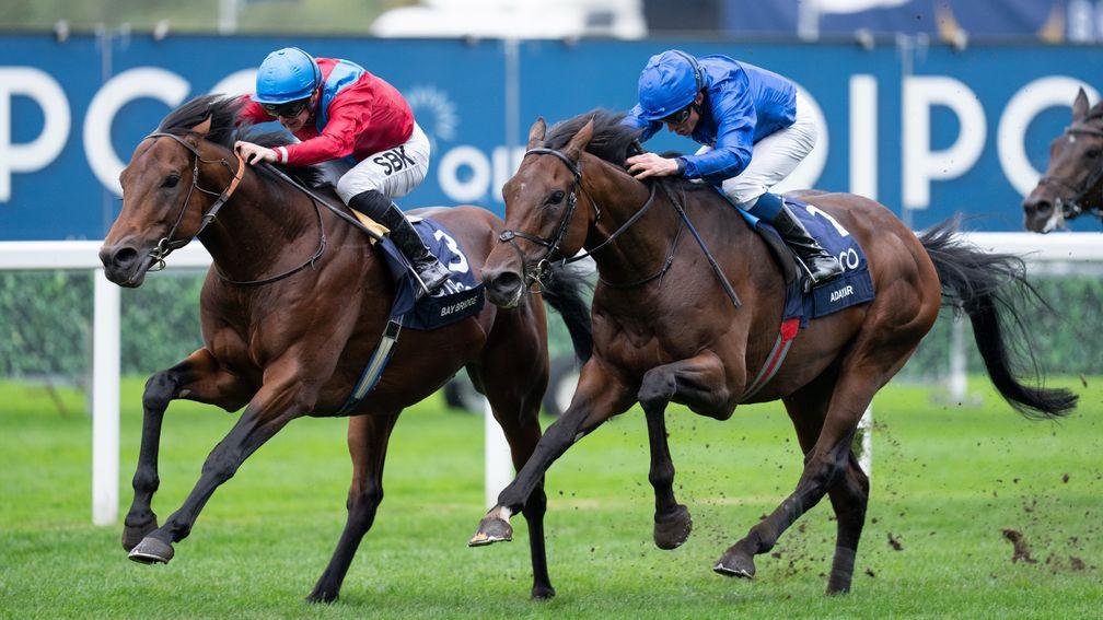 Adayar (right) finished a fine second to Bay Bridge in the Champion Stakes