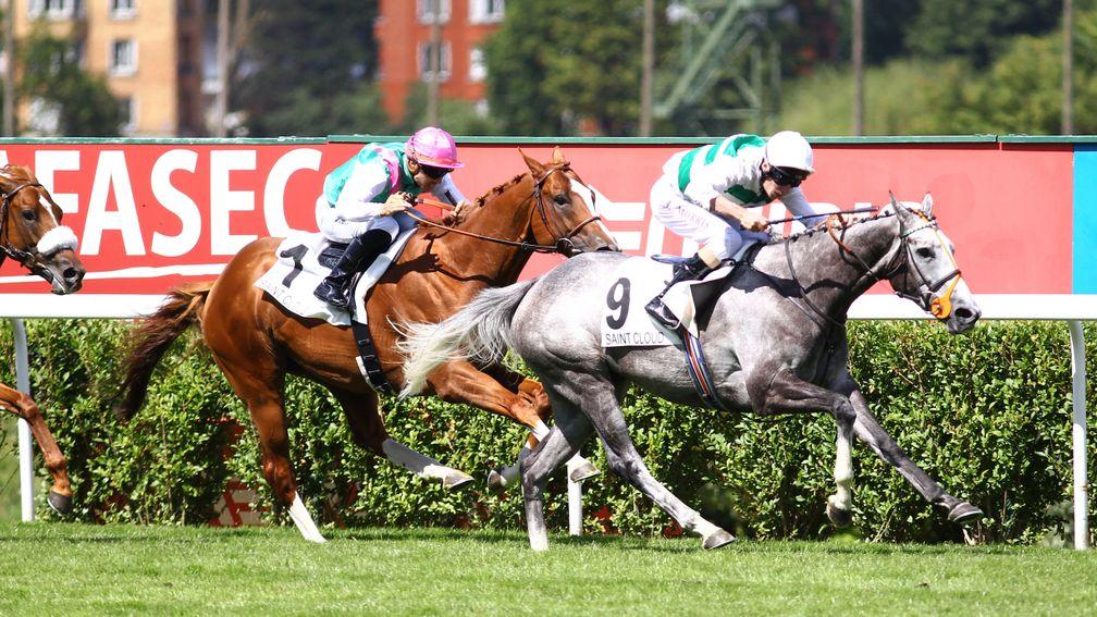 Alpinista: stayed on stoutly for a top-level win on her return at Saint-Cloud