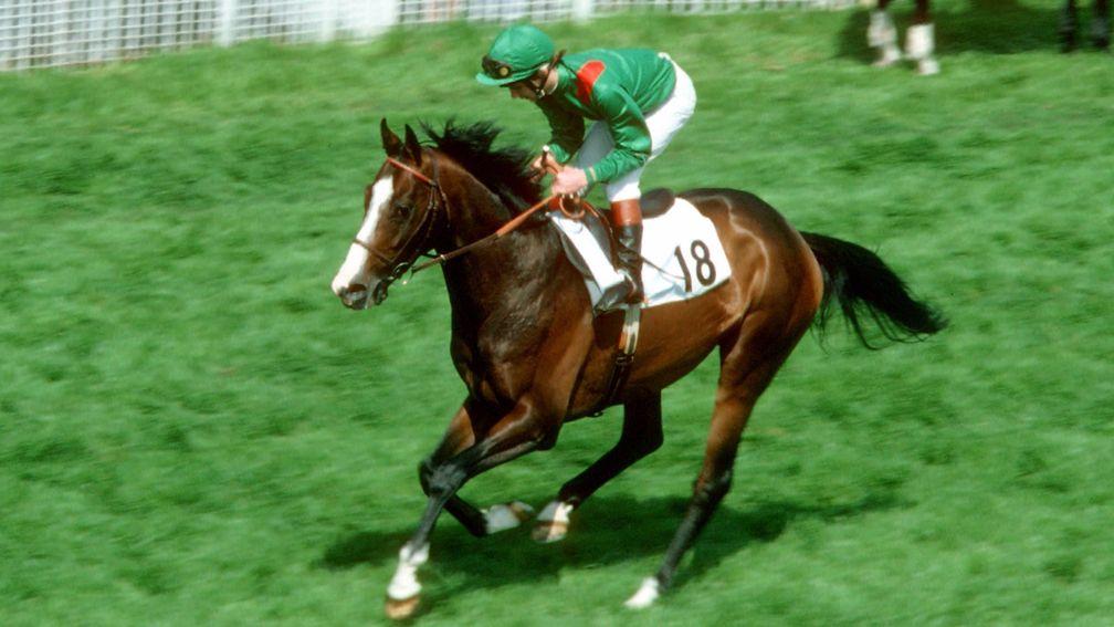 Shergar and Walter Swinburn head to the post at Epsom on Derby day, 1981