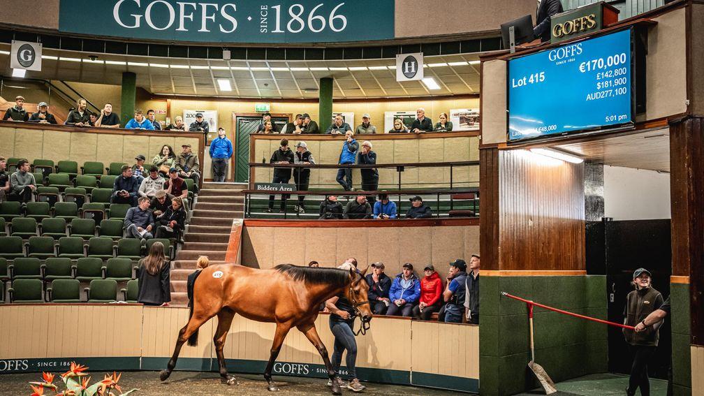 Tally Ho's Saints Des Saints gelding sells for €170,000 to Mags O'Toole