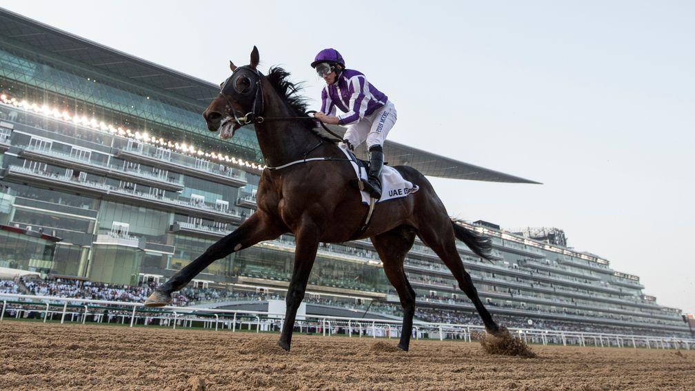 Mendelssohn: remains on course for the Breeders' Cup Classic