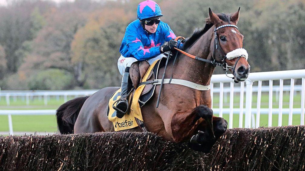 Cue Card: bookmakers are ready to take him on in the Betway Bowl at Aintree on Thursday