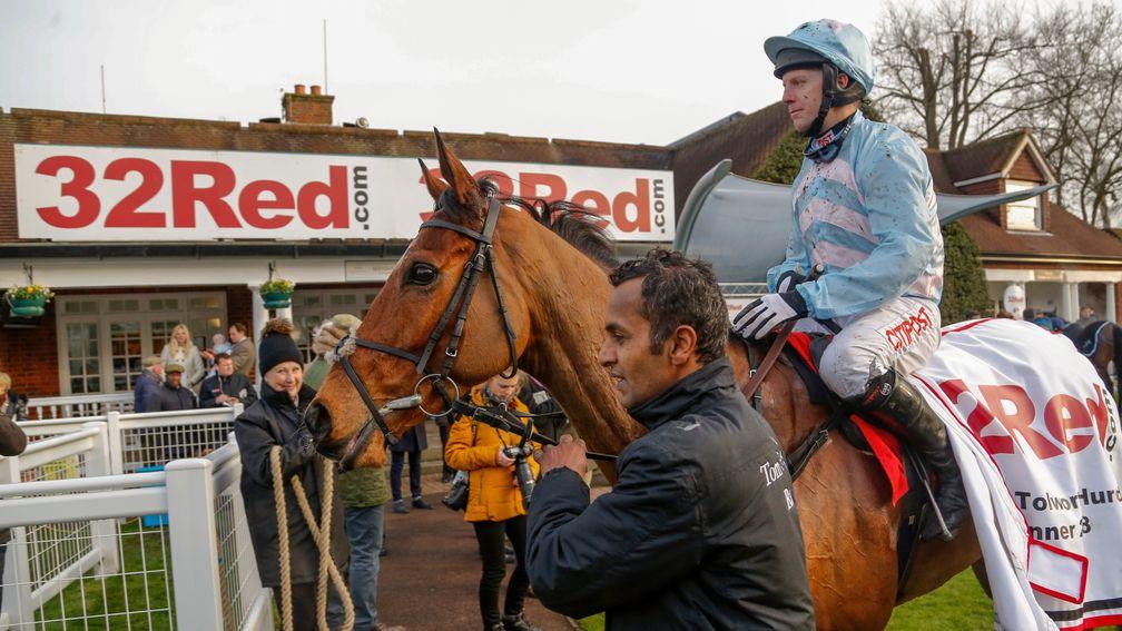 Summerville Boy: won the Tolworth before going on to win at Cheltenham