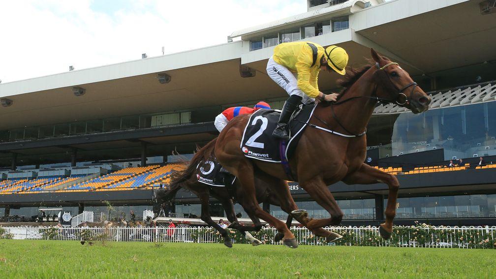 The William Haggas-trained Addeybb was in Group 1-winning action at Rosehill, Sydney on Saturday
