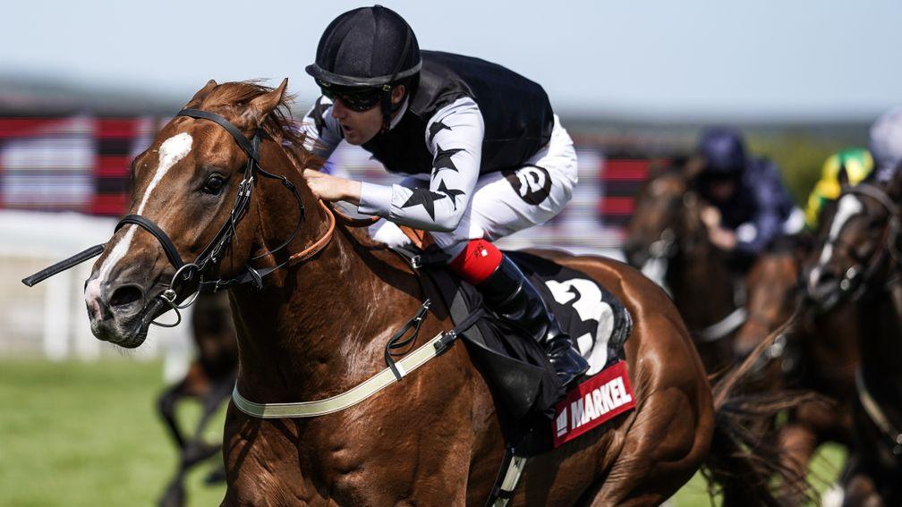 Rumble Inthejungle: won the Group 3 Molecomb Stakes in 2018