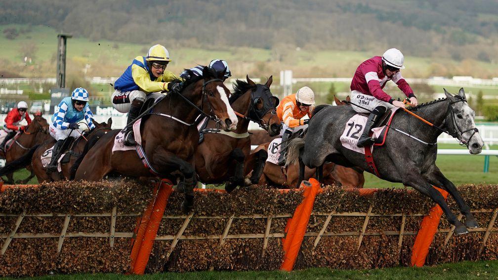 Band Of Outlaws (near) won the Boodles Juvenile Handicap Hurdle at this year's Cheltenham Festival