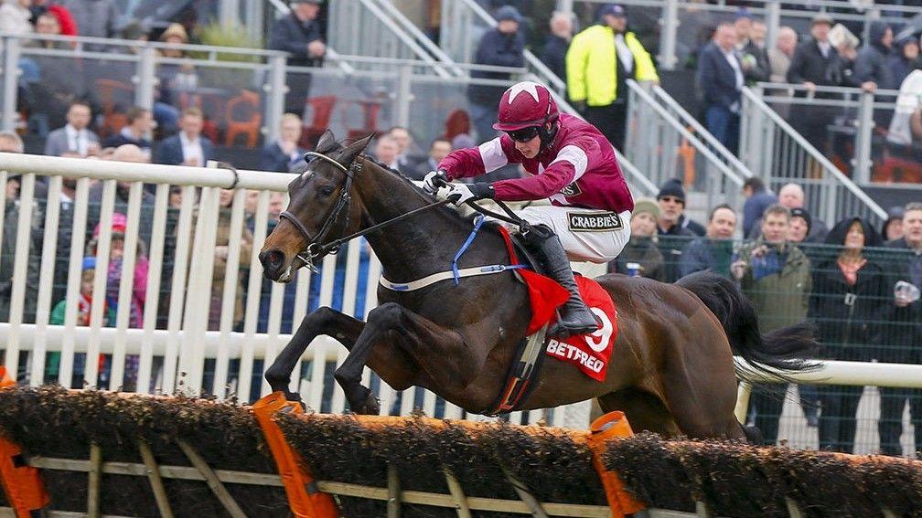 Apple's Jade: one of the star names set to leave Willie Mullins