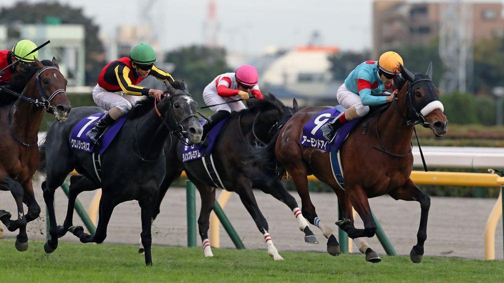 Almond Eye is in front on her way to winning the Grade 1 Tenno Sho Autumn