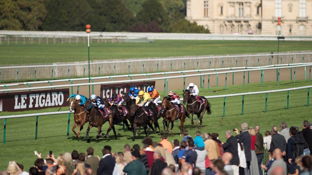 Rules will change at French race meetings such as Arc weekend (above)