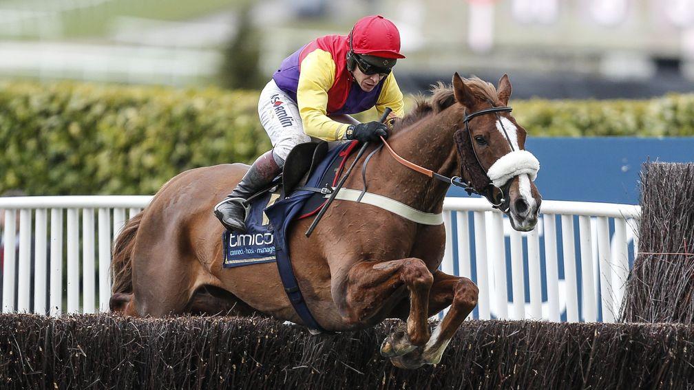 Native River: won a stirring Cheltenham Gold Cup in which his rider broke the whip rules