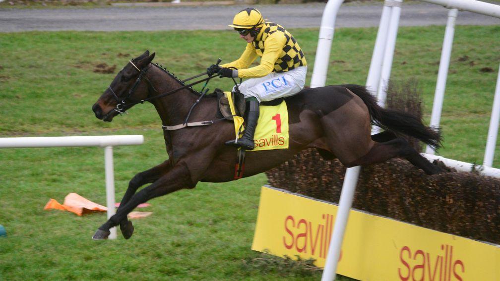 Al Boum Photo: last season's Gold Cup winner lands his second Savills Chase at Tramore