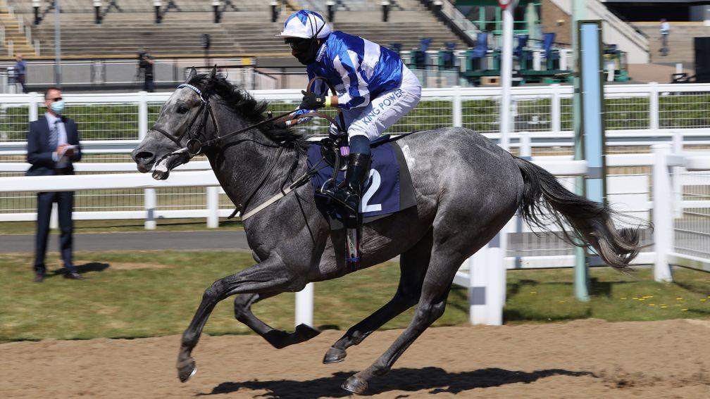 Art Power: ran out an impressive winner at Newcastle on Monday