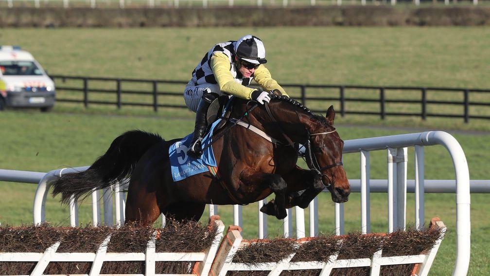 Next Destination: should suit a step up in trip in the Grade 1 Irish Daily Mirror Novice Hurdle