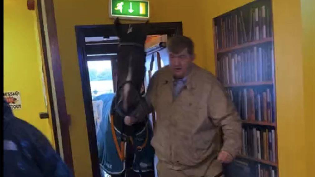 Trainer Shark Hanlon paraded US National hero Hewick in The Pint Depot pub on Monday