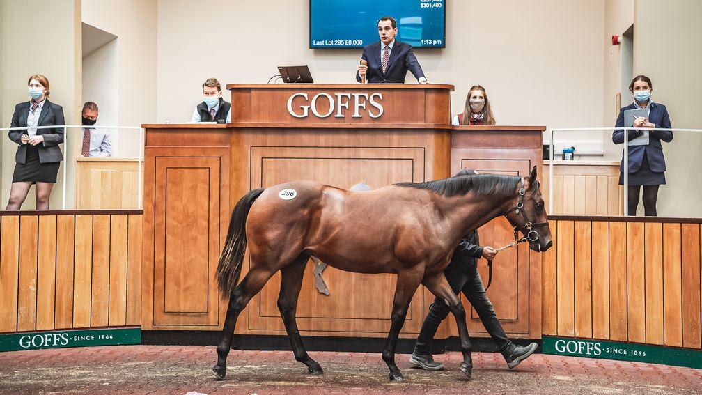 The sales-topping Harry Angel colt brings £220,000 from Alex Elliott
