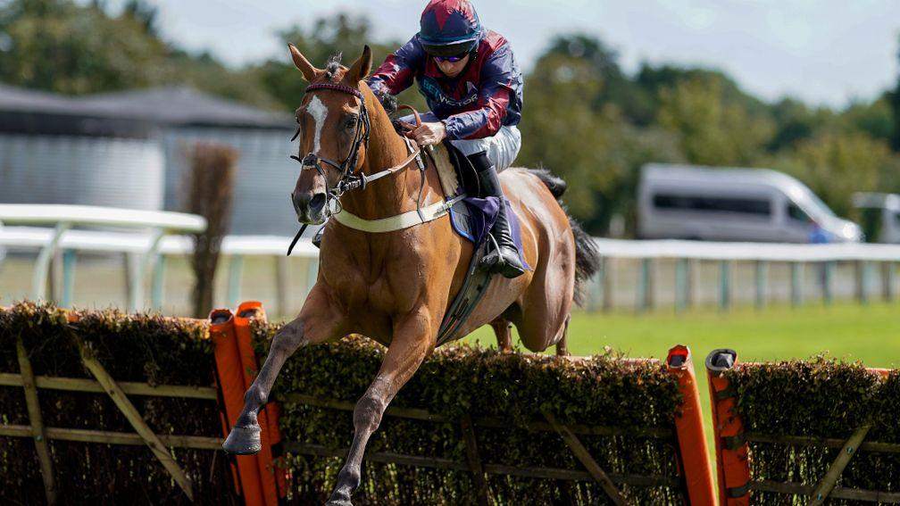 Chapmanshype was second on his return to hurdling and runs off the same mark on Saturday