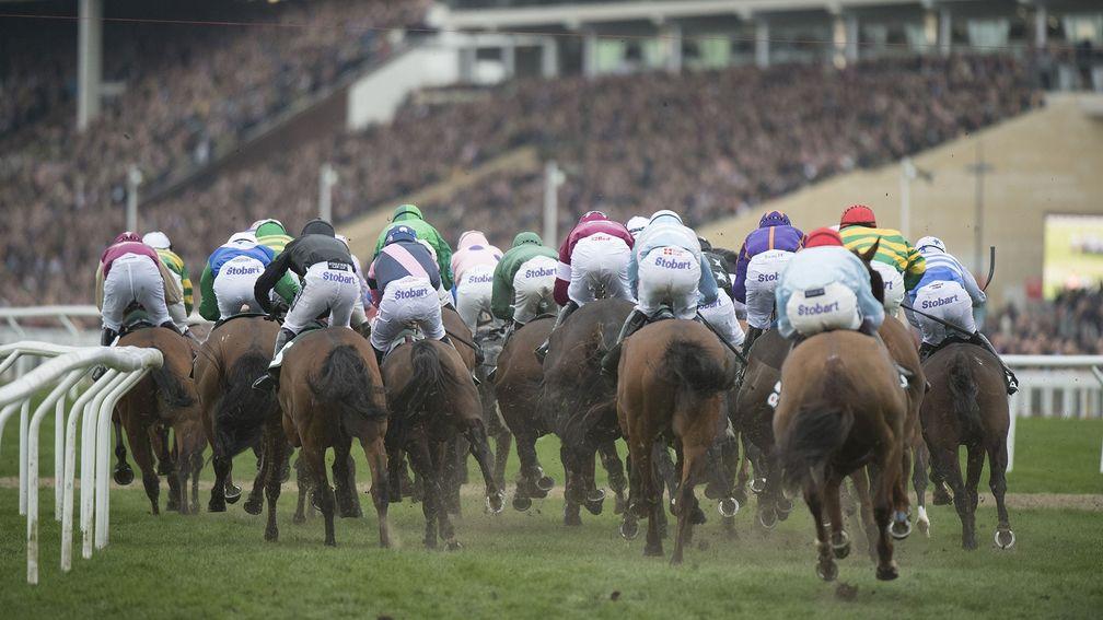 Cheltenham: a review into the fatalities at last year's festival will be completed on Wednesday