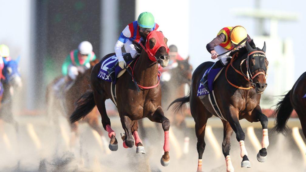 Nonkono Yume (left) runs down Ryan Moore-ridden favourite Gold Dream to win the February Stakes, the main Japanese prep race for the Dubai World Cup