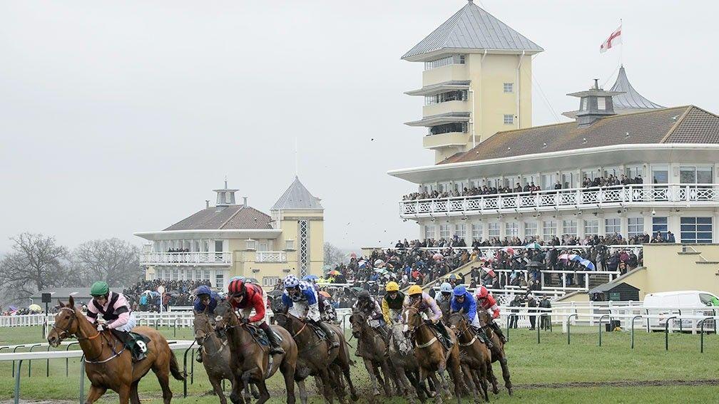 Two of Monday's bets run at Towcester