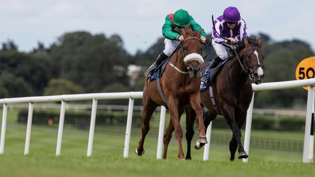 Amhran Na Bhfiann (right) finished third in the Derby last year