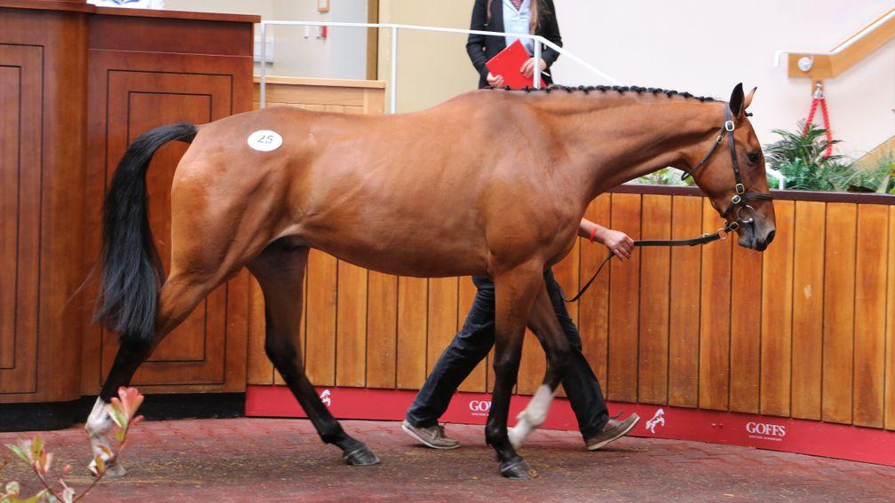 Lot 25: the three-year-old son of Diamond Boy brings £80,000 from Twiston-Davies Equine