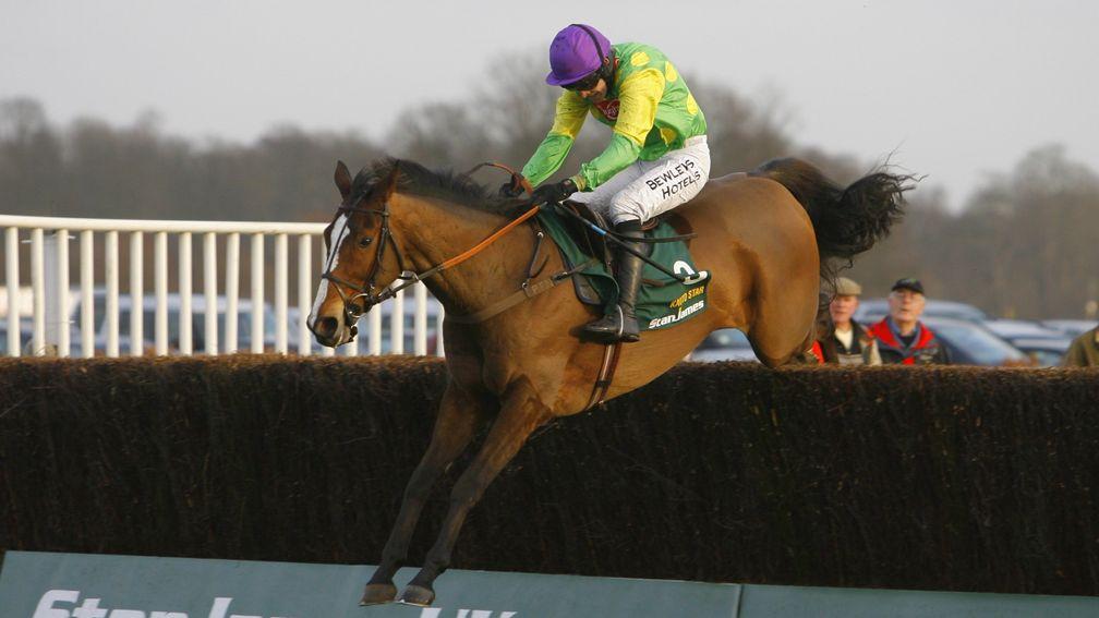 Kauto Star: was chasing a fifth straight King George when he met Long Run at Kempton in 2011