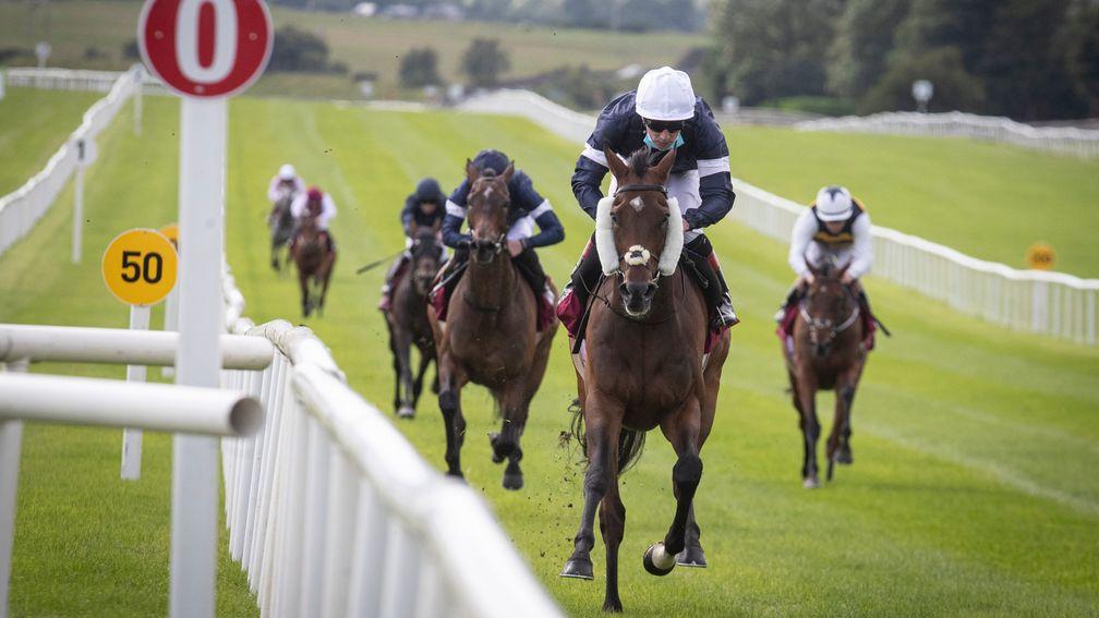 Twilight Payment: a comfortable winner of the Curragh Cup