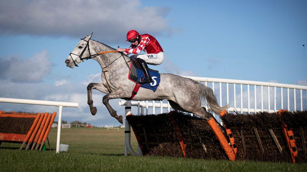 Grand Paradis: impressed at Thurles on Thursday