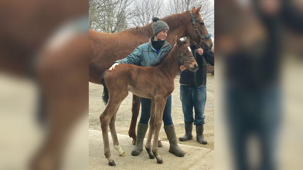Nonnetia with her Kayf Tara filly, pictured on the Racing Post Foal Gallery at ten days old