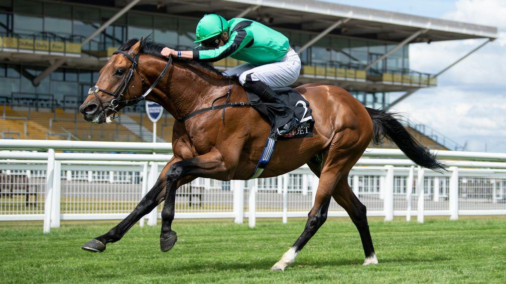 Century Dream and James Doyle are not for catching in the Diomed Stakes at Newbury