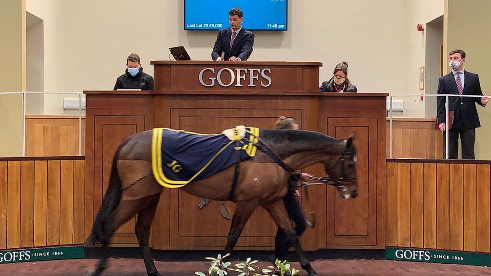 Indianapolis tops the Goffs UK December Horses in Training Sale when making £52,000 to Richard Ryan and Ian Williams
