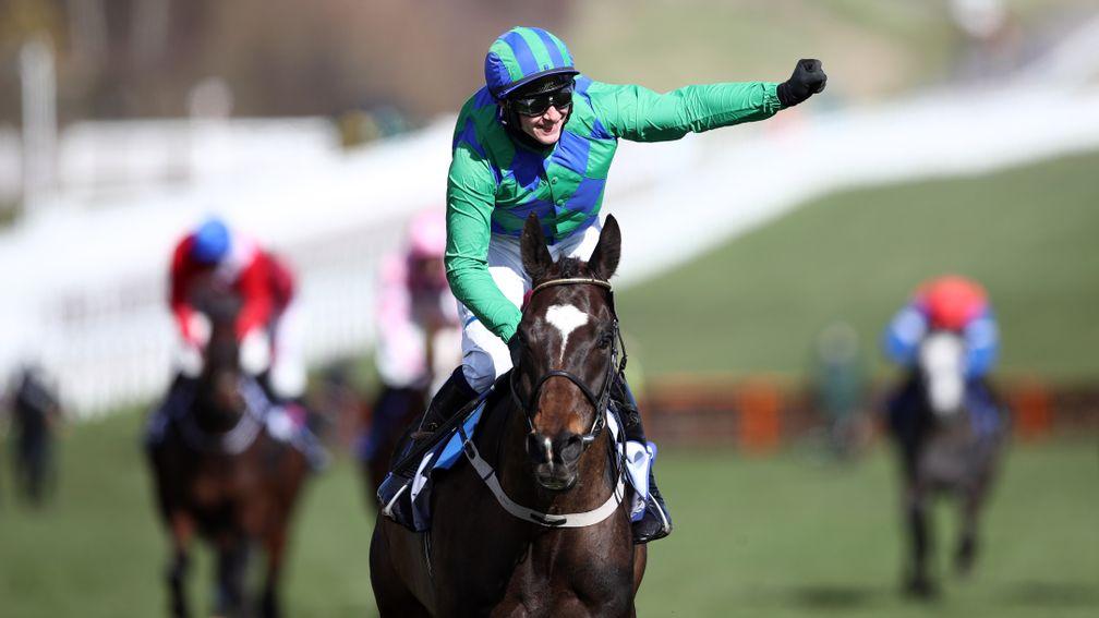 CHELTENHAM, ENGLAND - MARCH 16: Appreciate It ridden by Paul Townend celebrate winning the Sky Bet Supreme Novices' Hurdle during day one of the Cheltenham Festival at Cheltenham Racecourse, on March 16, 2021 in Cheltenham, England. Sporting venues around