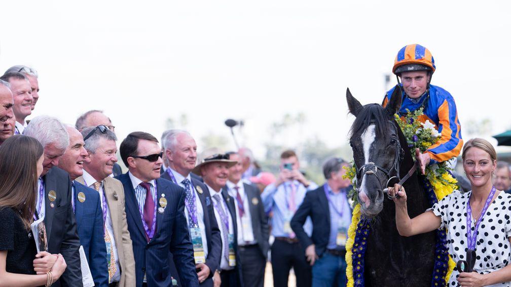 Aidan O'Brien watches Auguste Rodin after his victory in the Breeders' Cup Turf