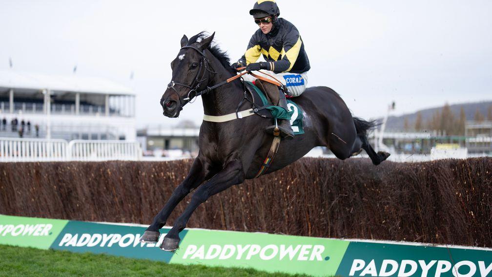 JPR One flies over the last at Cheltenham on Friday before slipping and unseating Brendan Powell moments later