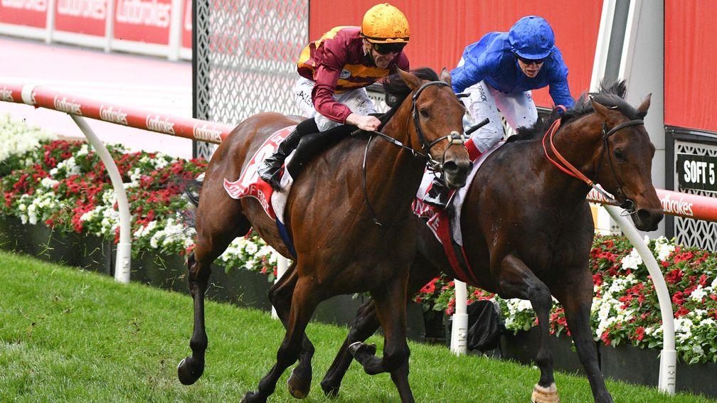 Cox Plate winner State Of Rest leads the way for Joseph O'Brien this season