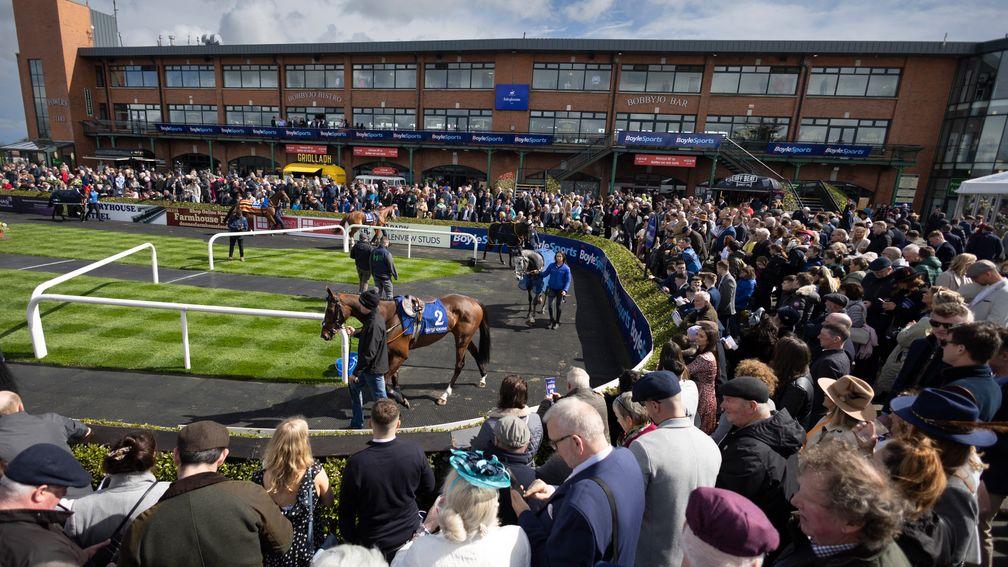 Fairyhouse: three-day Easter festival begins on Saturday