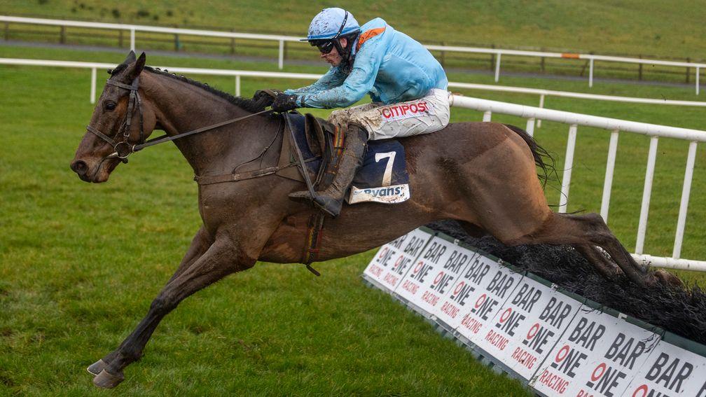 Stoke The Fire: an impressive winner on his hurdling debut at Tramore