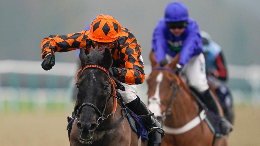 Black Kalanisi: got the better of two Grade 1-winning hurdlers on the all-weather at Lingfield