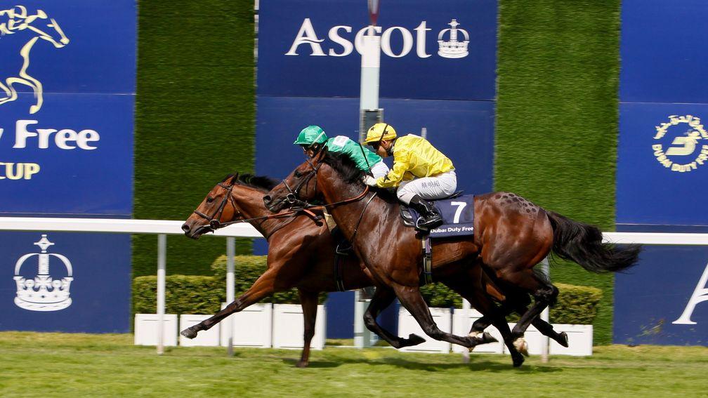 Trade Storm (yellow): narrowly denied by Boom And Bust in the 2012 Shergar Cup Mile