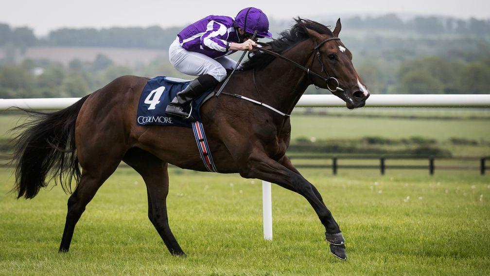 Sergei Prokofiev: is a leading player in the Group 1 Phoenix Stakes