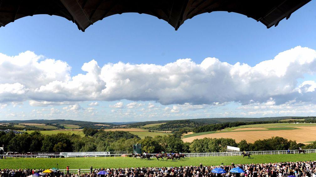 Goodwood: picturesque track for racegoers and testing for racehorses