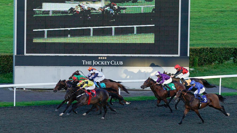 Kenzai Warrior comes back to winning form under Jack Mitchell at Kempton