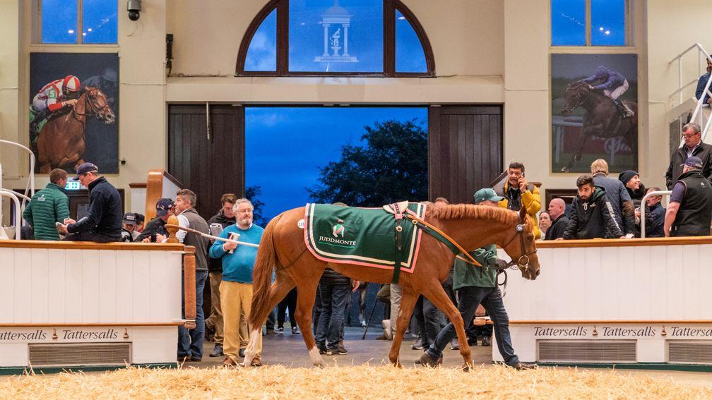Boltaway sells for 400,000gns