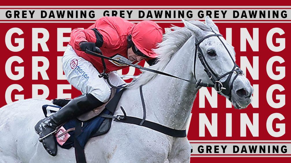 Grey Dawning: back in action in the Manifesto Novices' Chase