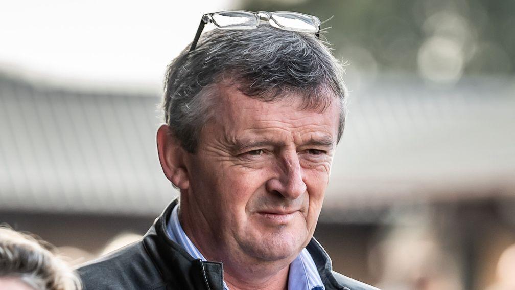 Eddie O'Leary: says Gigginstown won't be bringing their better horses back into training earlier this year for an autumn Irish Grand National