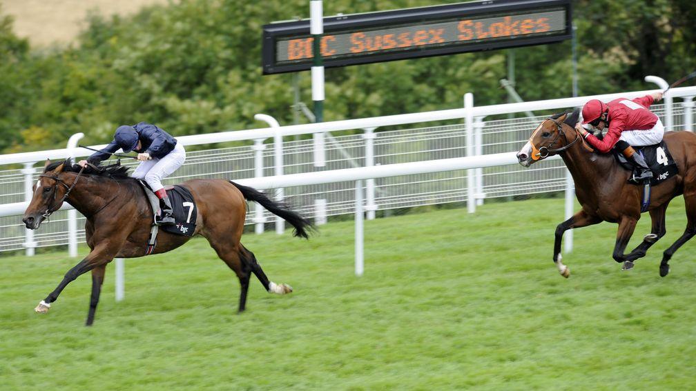 Rip Van Winkle: impressive when striding away from Paco Boy in the Sussex Stakes