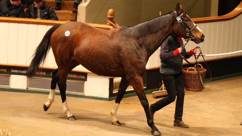 Little Book sells to JS Company for 230,000gns