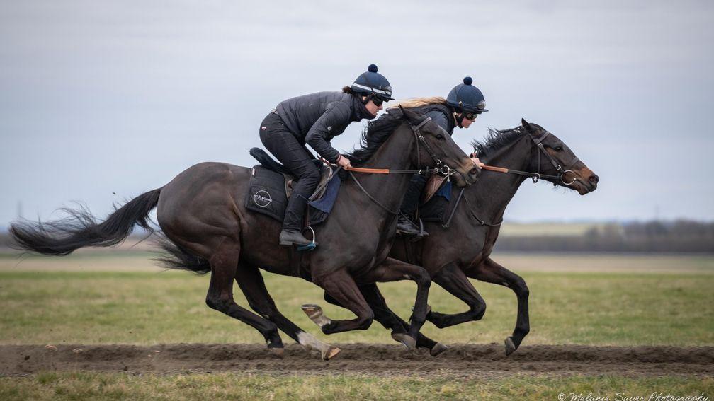 Ellie Whitaker and Tegan Clark on the gallops