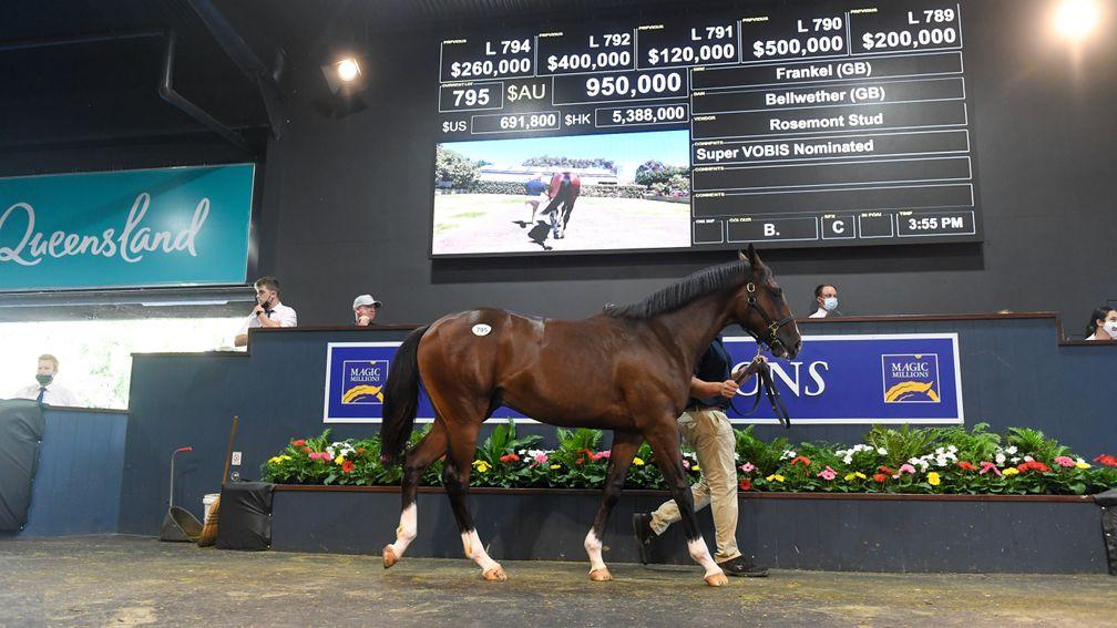 The Frankel colt out of Bellwether is hammered down to Peter Moody for A$950,000 at Magic Millions