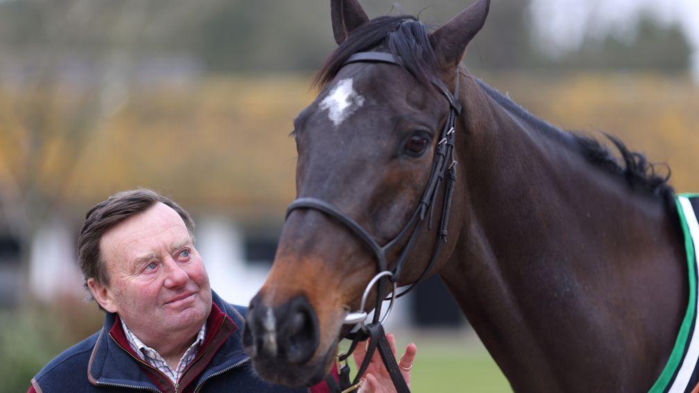 'The reaction has been mind-boggling' - Nicky Henderson amazed by public outpouring following death of star Shishkin